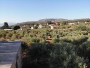 Xirosterni Kreta, Xirosterni: Grundstück in ruhiger Lage mit Berg- und Meerblick zu verkaufen Grundstück kaufen